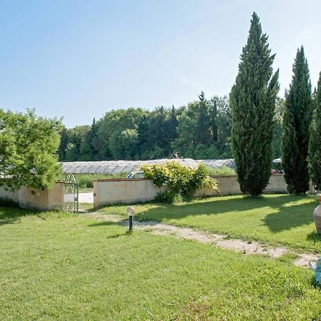 B&B Casa Betulla 피사 외부 사진